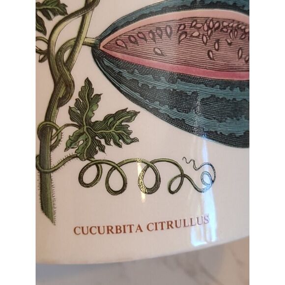 Portmeirion The Botanic Garden Circa 1818 England Dog Rose Floral Pitcher Jug - Picture 8 of 14